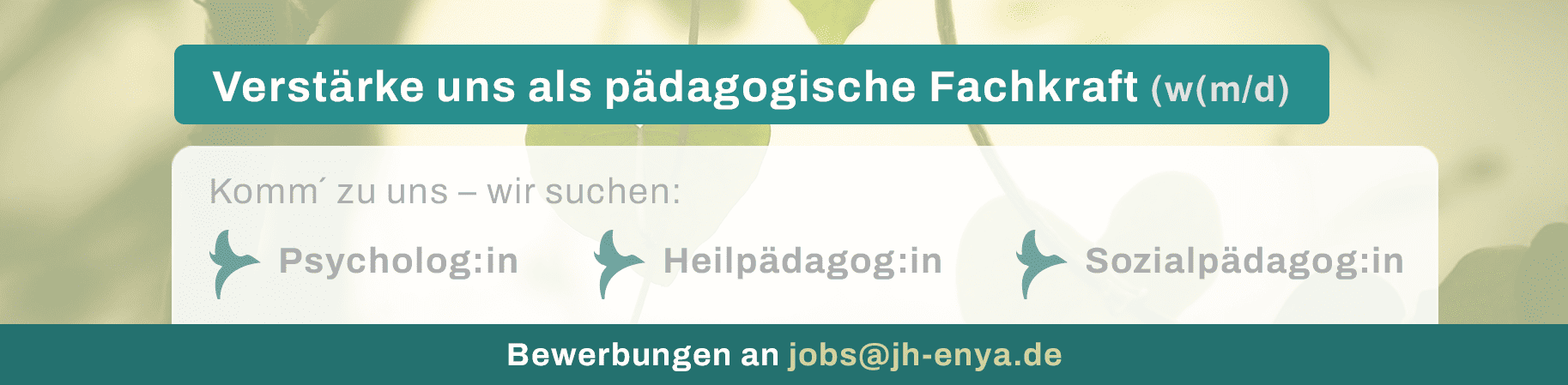 Stellenanzeige Jugendhilfe Enya: Pädagogische Fachkraft (w/m/d) gesucht in Neumünster – Psycholog:in, Sozialpädagog:in oder Heilpädagog:in für ambulante Hilfen zur Erziehung.